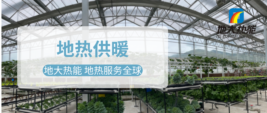 發(fā)揮地熱資源優(yōu)勢，地熱農(nóng)業(yè)實現(xiàn)花卉產(chǎn)業(yè)特色發(fā)展 | 地大熱能 地熱服務全球
