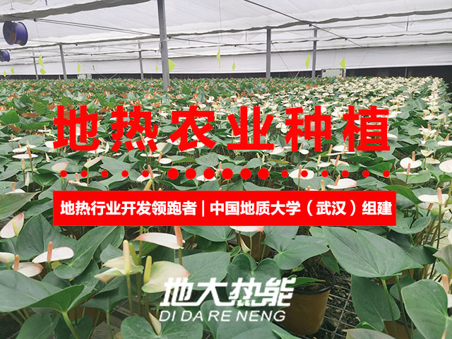 濟(jì)南：“地?zé)崮?農(nóng)業(yè)”產(chǎn)業(yè)融合，讓地?zé)崮苷嬲盁帷逼饋?lái)-地大熱能